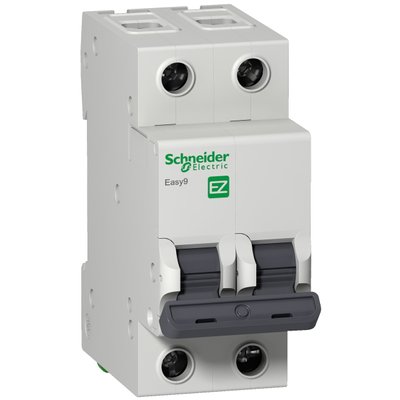 Автоматичний вимикач 6A 4,5kA 2P тип З Easy9 Schneider Electric EZ9F34206 EZ9F34206 фото