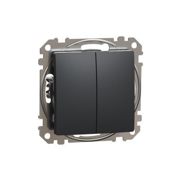 Кнопочный двухклавишный выключатель 10A, черный Sedna Design & Elements SDD114118 фото